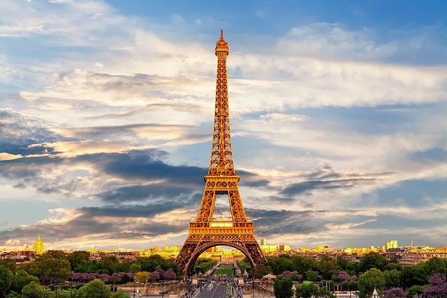 French Forex Mastery: Leveraging Technical Analysis for Trading Success